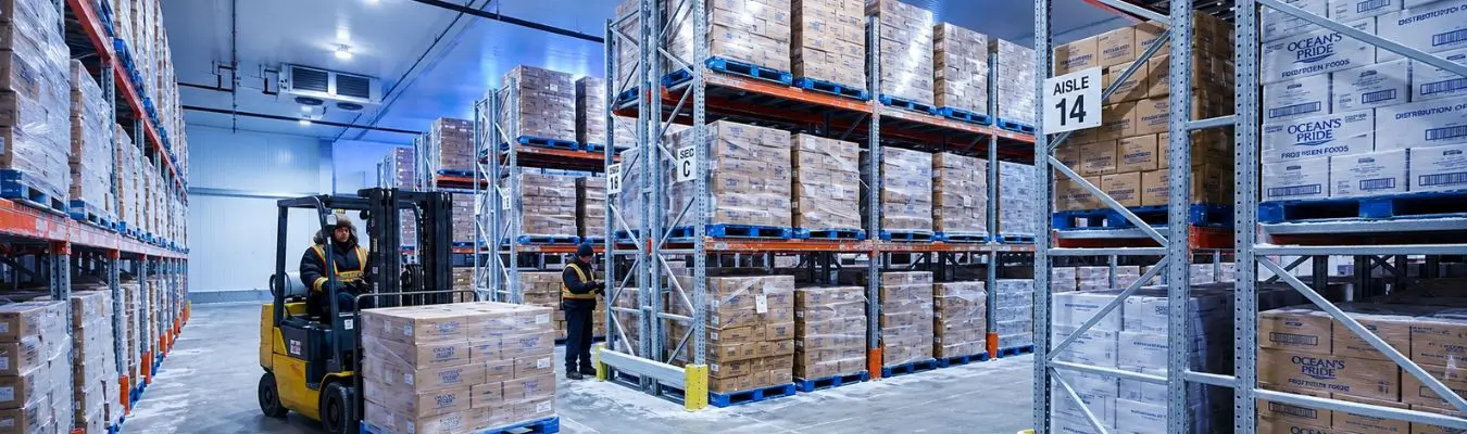 Frozen Cargo Transportation: Key Considerations for Safe Delivery